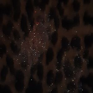 Meet your Posher, Mia